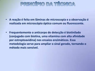 Possibilidade de detecção e localização de proteínas intracelulares, bem como do tráfego intracelular. Para essa finalidade, as membranas celulares são solubilizadas com Triton.
