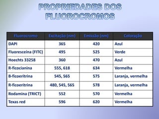 Fluorocromo Excitação (nm) Emissão (nm) Coloração
DAPI 365 420 Azul
Fluoresceína (FITC) 495 525 Verde
Hoechts 33258 360 470 Azul
R-ficocianina 555, 618 634 Vermelha
B-ficoeritrina 545, 565 575 Laranja, vermelha
R-ficoeritrina 480, 545, 565 578 Laranja, vermelha
Rodamina (TRICT) 552 570 Vermelha
Texas red 596 620 Vermelha
 