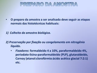 • O preparo da amostra a ser analisada deve seguir as etapas
normais das histotécnicas habituais:
1) Colheita da amostra biológica.
2) Preservação por fixação ou congelamento em nitrogênio
líquido.
• Fixadores: formaldeído 4 a 10%, paraformaldeído 4%,
periodato-lisina-paraformaldeído (PLP), glutaraldeído,
Carnoy (etanol:clorofórmio:ácido acético glacial 7:2:1)
etc.
 