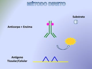 Antígeno
Tissular/Celular
Anticorpo + Enzima
Substrato
 