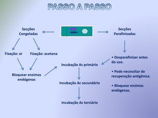 Secções
Parafinizadas
• Desparafinizar antes
do uso.
• Pode necessitar de
recuperação antigênica.
• Bloquear enzimas
endógenas.
Secções
Congeladas
Fixação: ar Fixação: acetona
Bloquear enzimas
endógenas
Incubação Ac primário
Incubação Ac secundário
Incubação Ac terciário
 