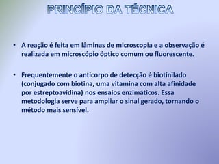 • A reação é feita em lâminas de microscopia e a observação é
realizada em microscópio óptico comum ou fluorescente.
• Frequentemente o anticorpo de detecção é biotinilado
(conjugado com biotina, uma vitamina com alta afinidade
por estreptoavidina) nos ensaios enzimáticos. Essa
metodologia serve para ampliar o sinal gerado, tornando o
método mais sensível.
 