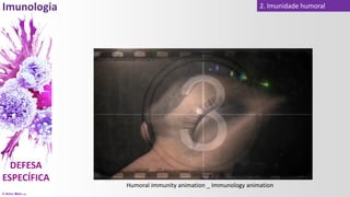 © Artur Melo 2021
2. Imunidade humoral
Humoral immunity animation _ Immunology animation
 