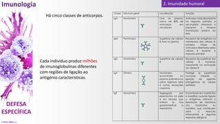 © Artur Melo 2021
2. Imunidade humoral
Cada individuo produz milhões
de imunoglobulinas diferentes
com regiões de ligação ao
antigénio características.
Há cinco classes de anticorpos.
Classe Estrutura geral Localização Função
IgG Monómero Livre no plasma;
cerca de 80% de
anticorpos em
circulação
Anticorpo mais abundante
na resposta primária e
secundária; atravessa a
placenta e fornece
imunização passiva ao
feto
IgM Pentamero Superfície de células
B; livre no plasma
Receptor de antigénios na
membrana das células B;
primeira classe de
anticorpos libertados pelas
células B durante a
resposta primária
IgD Monómero Superfície de células
B
Receptor de superfície das
células B maduras;
importante na activação
de células B
IgA Dímero Monómero
encontrado no
plasma; polímeros na
saliva, lágrimas, leite
e outras secreções
corporais
Protege as superfícies
mucosas; impede a
ligação de agentes
patogénicos às células
epiteliais
IgE Monómero Segregado por
plasmócitos na pele
e em tecidos que
limitam as vias
gastrointestinal e
respiratória
Encontrado em mastócitos
e basófilos; quando ligado
a antigénios, estimula a
libertação de histamina
dos mastócitos ou
basófilos, que contribuem
para a reacção
inflamatória e algumas
respostas alérgicas
 