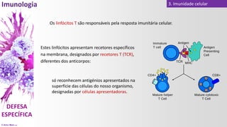 © Artur Melo 2021
3. Imunidade celular
Os linfócitos T são responsáveis pela resposta imunitária celular.
Estes linfócitos apresentam recetores específicos
na membrana, designados por recetores T (TCR),
diferentes dos anticorpos:
só reconhecem antigénios apresentados na
superfície das células do nosso organismo,
designadas por células apresentadoras.
 