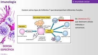 © Artur Melo 2021
3. Imunidade celular
Existem vários tipos de linfócitos T que desempenham diferentes funções.
Os citotóxicos (TC)
que destroem células
infetadas e
cancerosas.
 
