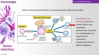 © Artur Melo 2021
3. Imunidade celular
Existem vários tipos de linfócitos T que desempenham diferentes funções.
Os linfócitos T de
memória vivem num
estado inativo, mas
respondem
prontamente, entrando
em multiplicação se o
organismo for
novamente
invadido pelo mesmo
agente antigénico.
 
