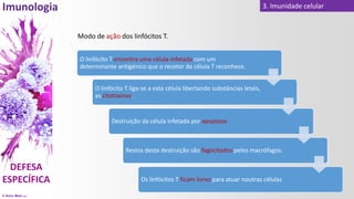 © Artur Melo 2021
3. Imunidade celular
Modo de ação dos linfócitos T.
O linfócito T encontra uma célula infetada com um
determinante antigénico que o recetor da célula T reconhece.
O linfócito T liga-se a esta célula libertando substâncias letais,
as citotoxinas.
Destruição da célula infetada por apoptose
Restos desta destruição são fagocitados pelos macrófagos.
Os linfócitos T ficam livres para atuar noutras células
 