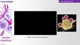 © Artur Melo 2021
3. Imunidade celular
Killer T Cell_ The Cancer Assassin
 