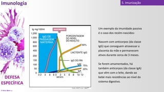 © Artur Melo 2021
5. Imunização
Um exemplo da imunidade passiva
é o caso dos recém-nascidos:
Nascem com anticorpos (da classe
IgG) que conseguem atravessar a
placenta da mãe e permanecem
ativos durante cerca de 3 meses.
Se forem amamentados, há
também anticorpos (da classe IgA)
que vêm com o leite, dando ao
bebé mais resistências ao nível do
sistema digestivo.
 