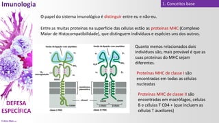 © Artur Melo 2021
1. Conceitos base
O papel do sistema imunológico é distinguir entre eu e não-eu.
Entre as muitas proteínas na superfície das células estão as proteínas MHC (Complexo
Maior de Histocompatibilidade), que distinguem indivíduos e espécies uns dos outros.
Quanto menos relacionados dois
indivíduos são, mais provável é que as
suas proteínas do MHC sejam
diferentes.
Proteínas MHC de classe I são
encontradas em todas as células
nucleadas
Proteínas MHC de classe II são
encontradas em macrófagos, células
B e células T CD4 + (que incluem as
células T auxiliares)
 