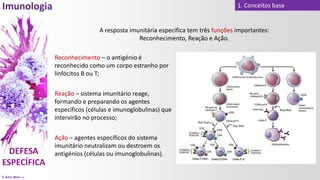 © Artur Melo 2021
1. Conceitos base
Ação – agentes específicos do sistema
imunitário neutralizam ou destroem os
antigénios (células ou imunoglobulinas).
A resposta imunitária específica tem três funções importantes:
Reconhecimento, Reação e Ação.
Reconhecimento – o antigénio é
reconhecido como um corpo estranho por
linfócitos B ou T;
Reação – sistema imunitário reage,
formando e preparando os agentes
específicos (células e imunoglobulinas) que
intervirão no processo;
 