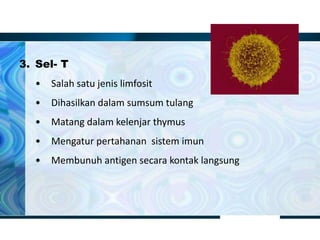 3. Sel- T
• Salah satu jenis limfosit
• Dihasilkan dalam sumsum tulang
• Matang dalam kelenjar thymus
• Mengatur pertahanan sistem imun
• Membunuh antigen secara kontak langsung
 