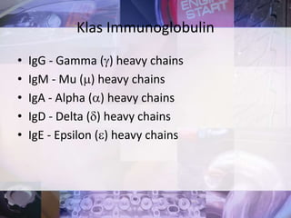 • IgG - Gamma () heavy chains
• IgM - Mu () heavy chains
• IgA - Alpha () heavy chains
• IgD - Delta () heavy chains
• IgE - Epsilon () heavy chains
Klas Immunoglobulin
 