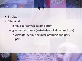 • Struktur
• Sifat-sifat
– Ig no. 2 terbanyak dalam serum
– Ig sekretori utama (Kekebalan lokal dan mukosa)
• Airmata, Air liur, sekresi lambung dan paru-
paru
IgA
 