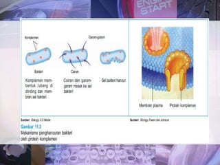Imunokimia - Biokimia