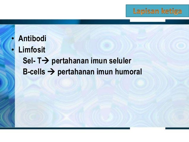 Doc Respon Imun Humoral Dan Seluler Ahmad Hasbi