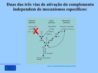 Imunidade inata e adaptativa: uma visão geral Duas das três vias de ativação do complemento independem de mecanismos específicos:  x www.hi.helsinki.fi/jokiranta/intro.html   