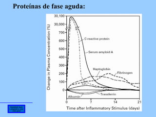 Imunidade inata e adaptativa: uma visão geral Proteínas de fase aguda: 