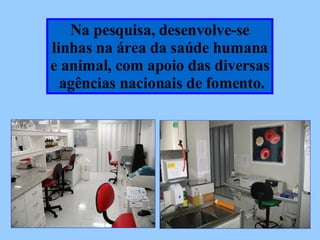 Na pesquisa, desenvolve-se linhas na área da saúde humana e animal, com apoio das diversas agências nacionais de fomento. 