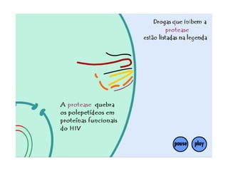 Transmissão do HIV e sintomas da AIDS
