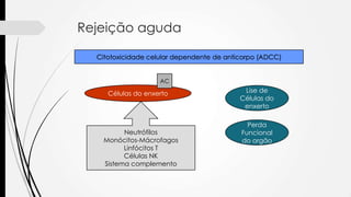 Rejeição aguda
Citotoxicidade celular dependente de anticorpo (ADCC)
Células do enxerto
AC
Neutrófilos
Monócitos-Mácrofagos
Linfócitos T
Células NK
Sistema complemento
Lise de
Células do
enxerto
Perda
Funcional
do orgão
 