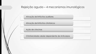 Rejeição aguda – 4 mecanismos imunológicos
Ativação de linfócitos auxiliares
Ativação de linfócitos citotóxicos
Ação de citocinas
Citotóxicidade celular dependente de Anticorpos
 