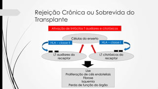 Rejeição Crônica ou Sobrevida do
Transplante
Ativação de linfócitos T auxiliares e citotóxicos
Células do enxerto
LT auxiliares do
receptor
LT citotóxicos do
receptor
HLA – classe II HLA – classe I
Lise
Proliferação de céls endoteliais
Fibrose
Isquemia
Perda de função do órgão
 