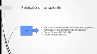 Rejeição a transplante
HLA
• HLA – Principais limitantes do transplante alogênico;
• Participantes da apresentação antigênica;
• Genes Classe I (DP, DQ, DR);
• Genes Classe II (B,C, A);
 
