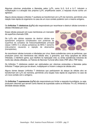 Imunologia – Prof. Américo Focesi Pelicioni - 1/4/2020 – pág 13
Algumas citocinas produzidas e liberadas pelos LyTh, como IL-2, IL-6 e IL-7, induzem a
multiplicação e a ativação dos próprios LyTh, amplificando assim, a resposta imune contra um
agressor.
Alguns clones desses Linfócitos T auxiliares se transformam em LyTh de memória, permitindo uma
reação mais rápida do organismo no caso de um novo contato posterior com o mesmo antígeno.
Os linfócitos T citotóxicos (LyTc) são responsáveis por reconhecer e destruir células tumorais e
células infectadas por vírus.
Essas células possuem em suas membranas um marcador
de superfície chamado CD8.
Os LyTc são células capazes de destruir células que
apresentam antígenos complexados com proteínas de
superfície do complexo de histocompatibilidade principal
classe I (MHC-1) e células portadoras de MHC-1 estranho
(não-próprio) causando a rejeição de aloenxertos
(transplantes).
Ao reconhecer células tumorais e infectadas por vírus, libera substâncias como as perforinas, que
produzem poros nas membranas das células alvo, a granzima, que induz apoptose da célula
infectada, o interferon gama, que interfere na replicação viral, ou ainda substâncias indutoras de
morte das células afetadas, os Fatores de Necrose Tumoral alfa e beta (TNF-alfa e TNF-beta).
Os linfócitos T citotóxicos podem ser estimulados por citocinas produzidas e liberadas pelos
linfócitos T helper para que se ativem, multipliquem e iniciem o ataque às células alvo.
Alguns clones desses Linfócitos T citotóxicos que participaram do ataque às células alvo se
transformam em LyTc de memória, permitindo uma reação mais rápida do organismo no caso de
um novo contato com o antígeno.
Os linfócitos T supressores (LyTs) são responsáveis por limitar a resposta imunológica, ou seja,
produzem citocinas que servem como fatores de supressão sobre os linfócitos Th e B, limitando a
atividade dessas células.
 