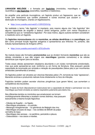 Imunologia – Prof. Américo Focesi Pelicioni - 1/4/2020 – pág 15
LINHAGEM MIELÓIDE - é formada por fagócitos (monócitos, macrófagos e
neutrófilos) e não fagócitos (eosinófilos, basófilos e mastócitos).
Ao engolfar uma partícula imunogênica, um fagócito produz um fagossomo, que se
funde com lisossomos que contém proteases e outras enzimas que causam a
destruição do imunógeno, criando um fagolisossomo.
• https://www.youtube.com/watch?v=UDYZ2O3r1lg
Na realidade o termo “não fagócito” é impróprio, pois mesmo alguns dos “não fagócitos” têm
alguma capacidade de engolfar e destruir certos antígenos, porém com menor frequência e
competência que os “verdadeiros fagócitos”. Por esse motivo, alguns autores também consideram
o mastócito como um fagócito.
Os fagócitos mononucleares são os monócitos, as células dendríticas e os macrófagos, que
têm como principal função fagocitar antígenos e apresentá-los aos linfócitos Th, portanto, são
Células Apresentadoras de Antígeno (APC).
• https://www.youtube.com/watch?v=iZYLeIJwe4w
Na medula óssea são formados promonócitos que se dividem formando monócitos que são as
células circulantes e que dão origem aos macrófagos (grandes comedores) e às células
dendríticas que migram para os tecidos.
Todas essas células apresentam citoplasma abundante e um núcleo normalmente arredondado,
mas que pode apresentar-se oval, reniforme ou em forma de ferradura. Eles possuem grande
capacidade de locomoção por emissão e retração de pseudópodes (falsos pés) e por movimentos
ameboides (semelhantes à ameba).
Os fagócitos podem ser ativados por citocinas liberadas pelos LTh, tornando-se mais “agressivos”,
liberando enzimas e produzindo radicais livres diretamente no foco da infecção.
Fagócitos também podem secretar citocinas pirogênicas (que geram febre), que aumentam a
competência dos leucócitos.
Obs. O bacilo de Koch (Mycobacterium tuberculosis) tem a capacidade de infectar e permanecer vivo nos
macrófagos que foram enviados ao sistema respiratório justamente para destruí-los.
Nos diferentes tecidos os monócitos que amadurecem se tornam
morfologicamente diferentes e recebem nomes distintos, mas possuem
basicamente a mesma função fagocítica:
- Células de Kuppfer – no fígado;
- Macrófagos alveolares – no pulmão;
- Mesangio intraglomerular - no glomérulo de Malpighi dos rins;
- Macrófagos sinusais do baço – nos cordões de Billroth da polpa
vermelha do baço.
- Macrófagos das serosas – no peritônio, pericárdio e pleura;
- Osteoclastos – nos ossos e maxilas.
 
