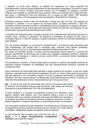 Imunologia – Prof. Américo Focesi Pelicioni - 1/4/2020 – pág 27
a hepatite, ou ainda para reforçar as defesas do organismo em casos especiais de
imunodepressão, como em alguns tratamentos de quimioterapia e radioterapia. Em todos os casos
o princípio é o mesmo: fornecer anticorpos prontos com a finalidade de proteger o paciente
evitando uma infecção ou aumentando suas chances contra uma infecção que já está presente,
para tanto, o medicamento deve ser produzido com o sangue de pelo menos 1000 doadores
voluntários e sadios, a fim de assegurar alta concentração e diversidade de anticorpos.
Anticorpos maternos contra o fator Rh pertencem à classe das IgG. Por isso, são capazes de
atravessar a placenta e de se ligarem às hemácias fetais, se estas contiverem o fator Rh,
causando a doença hemolítica do feto ou eritroblastose fetal, principalmente no segundo filho Rh+,
após uma resposta imune ocasionada pela exposição primária da mãe Rh- aos antígenos Rh do
primeiro filho, que geralmente acontece durante o parto.
A situação mais frequente dessa condição é quando com o deslocamento da placenta durante um
primeiro parto, acontece a passagem de pequenas quantidades de sangue do feto para a
circulação materna. A mãe Rh- passará a produzir anticorpos anti-Rh e se tornará sensibilizada a
esse antígeno.
Em uma próxima gestação, se a criança for novamente Rh+, os anticorpos IgG produzidos pela
mãe sensibilizada, irão passar para a circulação fetal, atacando suas células vermelhas,
hemolizando-as. Por isso, é chamada frequentemente de doença hemolítica do feto.
Por causa da hemólise maciça, a criança costuma apresentar anemia severa e o acúmulo de
grandes quantidades de bilirrubina, que a deixa com coloração amarelada (icterícia), chegando
muitas vezes a impregnar o sistema nervoso central (SNC), provocando lesões neurológicas
importantes (kernicterus).
Para compensar a anemia, a medula óssea passa a produzir e a liberar quantidades enormes de
eritrócitos imaturos nucleados, os eritoblastos, por isso, frequentemente chama-se a doença de
eritoblastose fetal.
Esse mecanismo de transmissão pela placenta é quase exclusiva de primatas, já que em outras
espécies, a placenta quase não permite a passagem das IgG: em cães e gatos passa pouquíssimo
IgG pela placenta e em ruminantes, equinos e suínos a placenta não permite a passagem de
anticorpos. Por isso, quando nascem, os filhotes são muito dependentes do colostro, e quando um
deles tem dificuldade para mamar, frequentemente morre em poucos horas.
IgA – É uma Ig que pode ser encontrada sob a forma monomérica (IgA sérica)
ou dimérica nas secreções externas (IgA secretora). Essa classe de anticorpo
corresponde à aproximadamente 15% das imunoglobulinas.
A forma dimérica é a principal imunoglobulina presente em secreções como
lágrima, colostro, leite materno, suor, suco gástrico, saliva e muco, é a mais
importante delas, por constituir importante mecanismo de defesa aos neonatos e
na proteção de portas de entrada de diversos antígenos, tais quais os olhos, o
sistema digestório, o sistema respiratório e o sistema geniturinário, por exemplo.
Um outro papel importante da IgA intestinal é o de impedir que os antígenos dos
microrganismos da flora intestinal normal entrem em contato com nosso sistema
imunológico, deflagrando reação imunológica contra os mesmos.
As IgA diméricas são formadas pela união de duas IgA à
peças J ou à peças transportadoras (componente
secretor), que é descrita à seguir:
 