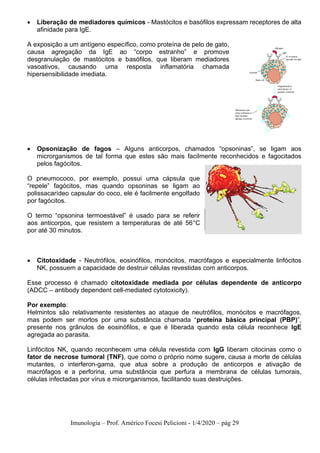 Imunologia – Prof. Américo Focesi Pelicioni - 1/4/2020 – pág 29
• Liberação de mediadores químicos - Mastócitos e basófilos expressam receptores de alta
afinidade para IgE.
A exposição a um antígeno específico, como proteína de pelo de gato,
causa agregação da IgE ao “corpo estranho” e promove
desgranulação de mastócitos e basófilos, que liberam mediadores
vasoativos, causando uma resposta inflamatória chamada
hipersensibilidade imediata.
• Opsonização de fagos – Alguns anticorpos, chamados “opsoninas”, se ligam aos
microrganismos de tal forma que estes são mais facilmente reconhecidos e fagocitados
pelos fagócitos.
O pneumococo, por exemplo, possui uma cápsula que
“repele” fagócitos, mas quando opsoninas se ligam ao
polissacarídeo capsular do coco, ele é facilmente engolfado
por fagócitos.
O termo “opsonina termoestável” é usado para se referir
aos anticorpos, que resistem a temperaturas de até 56°C
por até 30 minutos.
• Citotoxidade - Neutrófilos, eosinófilos, monócitos, macrófagos e especialmente linfócitos
NK, possuem a capacidade de destruir células revestidas com anticorpos.
Esse processo é chamado citotoxidade mediada por células dependente de anticorpo
(ADCC – antibody dependent cell-mediated cytotoxicity).
Por exemplo:
Helmintos são relativamente resistentes ao ataque de neutrófilos, monócitos e macrófagos,
mas podem ser mortos por uma substância chamada “proteína básica principal (PBP)”,
presente nos grânulos de eosinófilos, e que é liberada quando esta célula reconhece IgE
agregada ao parasita.
Linfócitos NK, quando reconhecem uma célula revestida com IgG liberam citocinas como o
fator de necrose tumoral (TNF), que como o próprio nome sugere, causa a morte de células
mutantes, o interferon-gama, que atua sobre a produção de anticorpos e ativação de
macrófagos e a perforina, uma substância que perfura a membrana de células tumorais,
células infectadas por vírus e microrganismos, facilitando suas destruições.
 