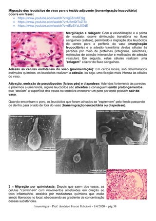 Imunologia – Prof. Américo Focesi Pelicioni - 1/4/2020 – pág 38
Migração dos leucócitos do vaso para o tecido adjacente (transmigração leucocitária)
ocorre em fases:
• https://www.youtube.com/watch?v=ig0ZnnKFj9g
• https://www.youtube.com/watch?v=U8mQtToZiTc
• https://www.youtube.com/watch?v=dEzSYzL5OdE
Marginação e rolagem: Com a vasodilatação e a perda
de exudato, ocorre diminuição transitória no fluxo
sanguíneo (estase), permitindo a migração dos leucócitos
do centro para a periferia do vaso (marginação
leucocitária) e a adesão transitória destas células às
paredes por meio de proteínas (integrinas, selectinas,
moléculas de adesão intercelular e moléculas de adesão
vascular). Em seguida, estas células realizam uma
“rolagem” a favor do fluxo sanguíneo.
Adesão às células endoteliais do vaso (pavimentação): Em certos locais, sob determinados
estímulos químicos, os leucócitos realizam a adesão, ou seja, uma fixação mais intensa às células
do vaso.
Ativação, emissão de pseudópodes (falsos pés) e diapedese: Aderidos fortemente às paredes
e próximos a uma fenda, alguns leucócitos são ativados e conseguem emitir prolongamentos
que “tateiam” a superfície dos vasos na tentativa encontrar um poro por onde possam sair do
vaso.
Quando encontram o poro, os leucócitos que foram ativados se “espremem” pela fenda passando
de dentro para o lado de fora do vaso (transmigração leucocitária ou diapedese).
3 – Migração por quimiotaxia: Depois que saem dos vasos, as
células “caminham” com movimentos ameboides em direção ao
foco inflamatório, atraídos por mediadores químicos que estão
sendo liberados no local, obedecendo ao gradiente de concentração
dessas substâncias.
 