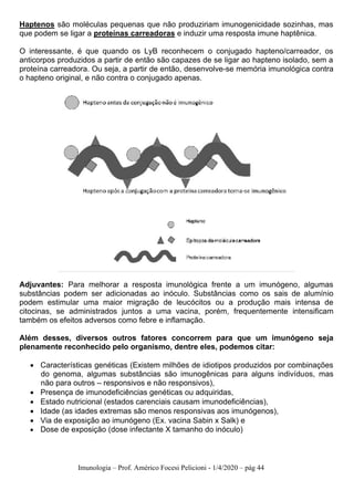 Imunologia – Prof. Américo Focesi Pelicioni - 1/4/2020 – pág 44
Haptenos são moléculas pequenas que não produziriam imunogenicidade sozinhas, mas
que podem se ligar a proteínas carreadoras e induzir uma resposta imune haptênica.
O interessante, é que quando os LyB reconhecem o conjugado hapteno/carreador, os
anticorpos produzidos a partir de então são capazes de se ligar ao hapteno isolado, sem a
proteína carreadora. Ou seja, a partir de então, desenvolve-se memória imunológica contra
o hapteno original, e não contra o conjugado apenas.
Adjuvantes: Para melhorar a resposta imunológica frente a um imunógeno, algumas
substâncias podem ser adicionadas ao inóculo. Substâncias como os sais de alumínio
podem estimular uma maior migração de leucócitos ou a produção mais intensa de
citocinas, se administrados juntos a uma vacina, porém, frequentemente intensificam
também os efeitos adversos como febre e inflamação.
Além desses, diversos outros fatores concorrem para que um imunógeno seja
plenamente reconhecido pelo organismo, dentre eles, podemos citar:
• Características genéticas (Existem milhões de idiotipos produzidos por combinações
do genoma, algumas substâncias são imunogênicas para alguns indivíduos, mas
não para outros – responsivos e não responsivos),
• Presença de imunodeficiências genéticas ou adquiridas,
• Estado nutricional (estados carenciais causam imunodeficiências),
• Idade (as idades extremas são menos responsivas aos imunógenos),
• Via de exposição ao imunógeno (Ex. vacina Sabin x Salk) e
• Dose de exposição (dose infectante X tamanho do inóculo)
 