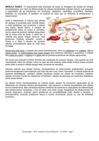 Imunologia – Prof. Américo Focesi Pelicioni - 1/4/2020 – pág 5
MEDULA ÓSSEA - É responsável pela produção de todas as linhagens de células do sangue
(hematopoese), por meio da diferenciação de células pluripotentes (células tronco), que possuem
a capacidade de se transformar em eritrócitos, plaquetas, neutrófilos, eosinófilos, basófilos,
linfócitos ou monócitos. É também na medula do osso que os linfócitos B amadurecem e
desenvolvem.
Após o nascimento, a maioria das células
do sangue é produzida pela medula óssea,
o miolo gelatinoso que preenche o interior
dos ossos. Nessa época, a medula de
praticamente todos os ossos é vermelha,
sendo capaz de produzir células sanguíneas
até os cinco anos de idade. A partir daí, a
medula dos ossos longos torna-se mais
gordurosa (medula amarela), exceto o
úmero e a tíbia, e deixam de produzir
células, principalmente após os vinte anos
de idade.
Acima dos vinte anos, a medula dos ossos membranosos, como as vértebras e as costelas, alguns
ossos curtos, as extremidades dos ossos longos dos membros inferiores e superiores, o interior
dos ossos do crânio, o esterno e a pelve são os grandes produtores de células sanguíneas.
Os ossos que possuem medula amarela são incapazes de produzir sangue, mas quando há uma
necessidade maior de células, como no caso de uma anemia, parte desta medula óssea amarela
pode voltar a produzir células sanguíneas, tornando-se vermelha.
Estudos indicam que células troncos, principalmente as embrionárias (totipotentes), possuem
potencial terapêutico para doenças que hoje não tem cura, como “consertar” a medula espinhal de
pessoas tetraplégicas, substituir células cardíacas mortas em infarto do miocárdio, substituir
células nervosas mortas por Alzheimer e Parkinson, células do pâncreas em pacientes diabéticos,
entre outras tantas.
As células tronco hematopoiéticas da medula óssea, apesar de possuírem capacidade de se
diferenciar em diversos tecidos (pluripotentes), não possuem a mesma versatilidade das células
tronco embrionárias. Mas cientistas estudam maneiras de aumentar a capacidade de diferenciação
das células-tronco medulares, a fim de obter uma fonte quase inesgotável de células-tronco do
próprio organismo, evitando assim problemas de compatibilidade entre doador e receptor, e
principalmente, evitando problemas éticos e morais envolvendo aborto ou uso de embriões
humanos.
 