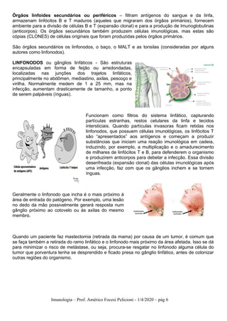 Imunologia – Prof. Américo Focesi Pelicioni - 1/4/2020 – pág 6
Órgãos linfoides secundários ou periféricos – filtram antígenos do sangue e da linfa,
armazenam linfócitos B e T maduros (aqueles que migraram dos órgãos primários), fornecem
ambiente para a divisão de células B e T (expansão clonal) e para a produção de Imunoglobulinas
(anticorpos). Os órgãos secundários também produzem células imunológicas, mas estas são
cópias (CLONES) de células originais que foram produzidas pelos órgãos primários.
São órgãos secundários os linfonodos, o baço, o MALT e as tonsilas (consideradas por alguns
autores como linfonodos).
LINFONODOS ou gânglios linfáticos - São estruturas
encapsuladas em forma de feijão ou arredondadas,
localizadas nas junções dos trajetos linfáticos,
principalmente no abdômen, mediastino, axilas, pescoço e
virilha. Normalmente medem de 1 a 25 mm, mas na
infecção, aumentam drasticamente de tamanho, a ponto
de serem palpáveis (ínguas).
Funcionam como filtros do sistema linfático, capturando
partículas estranhas, restos celulares da linfa e tecidos
intersticiais. Quando partículas invasoras ficam retidas nos
linfonodos, que possuem células imunológicas, os linfócitos T
são “apresentados” aos antígenos e começam a produzir
substâncias que iniciam uma reação imunológica em cadeia,
induzindo, por exemplo, a multiplicação e o amadurecimento
de milhares de linfócitos T e B, para defenderem o organismo
e produzirem anticorpos para debelar a infecção. Essa divisão
desenfreada (expansão clonal) das células imunológicas após
uma infecção, faz com que os gânglios inchem e se tornem
ínguas.
Geralmente o linfonodo que incha é o mais próximo à
área de entrada do patógeno. Por exemplo, uma lesão
no dedo da mão possivelmente gerará resposta num
gânglio próximo ao cotovelo ou às axilas do mesmo
membro.
Quando um paciente faz mastectomia (retirada da mama) por causa de um tumor, é comum que
se faça também a retirada do ramo linfático e o linfonodo mais próximo da área afetada. Isso se dá
para minimizar o risco de metástase, ou seja, procura-se resgatar no linfonodo alguma célula do
tumor que porventura tenha se desprendido e ficado presa no gânglio linfático, antes de colonizar
outras regiões do organismo.
 