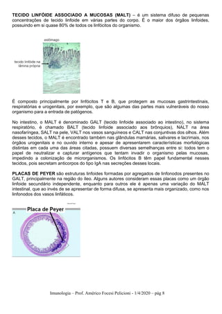 Imunologia – Prof. Américo Focesi Pelicioni - 1/4/2020 – pág 8
TECIDO LINFÓIDE ASSOCIADO A MUCOSAS (MALT) – é um sistema difuso de pequenas
concentrações de tecido linfoide em várias partes do corpo. É o maior dos órgãos linfoides,
possuindo em si quase 80% de todos os linfócitos do organismo.
É composto principalmente por linfócitos T e B, que protegem as mucosas gastrintestinais,
respiratórias e urogenitais, por exemplo, que são algumas das partes mais vulneráveis do nosso
organismo para a entrada de patógenos.
No intestino, o MALT é denominado GALT (tecido linfoide associado ao intestino), no sistema
respiratório, é chamado BALT (tecido linfoide associado aos brônquios), NALT na área
nasofaríngea, SALT na pele, VALT nos vasos sanguíneos e CALT nas conjuntivas dos olhos. Além
desses tecidos, o MALT é encontrado também nas glândulas mamárias, salivares e lacrimais, nos
órgãos urogenitais e no ouvido interno e apesar de apresentarem características morfológicas
distintas em cada uma das áreas citadas, possuem diversas semelhanças entre si: todos tem o
papel de neutralizar e capturar antígenos que tentam invadir o organismo pelas mucosas,
impedindo a colonização de microrganismos. Os linfócitos B têm papel fundamental nesses
tecidos, pois secretam anticorpos do tipo IgA nas secreções desses locais.
PLACAS DE PEYER são estruturas linfoides formadas por agregados de linfonodos presentes no
GALT, principalmente na região do íleo. Alguns autores consideram essas placas como um órgão
linfoide secundário independente, enquanto para outros ele é apenas uma variação do MALT
intestinal, que ao invés de se apresentar de forma difusa, se apresenta mais organizado, como nos
linfonodos dos vasos linfáticos.
 