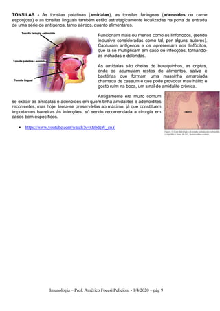 Imunologia – Prof. Américo Focesi Pelicioni - 1/4/2020 – pág 9
TONSILAS - As tonsilas palatinas (amídalas), as tonsilas faríngeas (adenoides ou carne
esponjosa) e as tonsilas linguais também estão estrategicamente localizadas na porta de entrada
de uma série de antígenos, tanto aéreos, quanto alimentares.
Funcionam mais ou menos como os linfonodos, (sendo
inclusive consideradas como tal, por alguns autores).
Capturam antígenos e os apresentam aos linfócitos,
que lá se multiplicam em caso de infecções, tornando-
as inchadas e doloridas.
As amídalas são cheias de buraquinhos, as criptas,
onde se acumulam restos de alimentos, saliva e
bactérias que formam uma massinha amarelada
chamada de caseum e que pode provocar mau hálito e
gosto ruim na boca, um sinal de amidalite crônica.
Antigamente era muito comum
se extrair as amídalas e adenoides em quem tinha amidalites e adenoidites
recorrentes, mas hoje, tenta-se preservá-las ao máximo, já que constituem
importantes barreiras às infecções, só sendo recomendada a cirurgia em
casos bem específicos.
• https://www.youtube.com/watch?v=xtzbdeW_cuY
 
