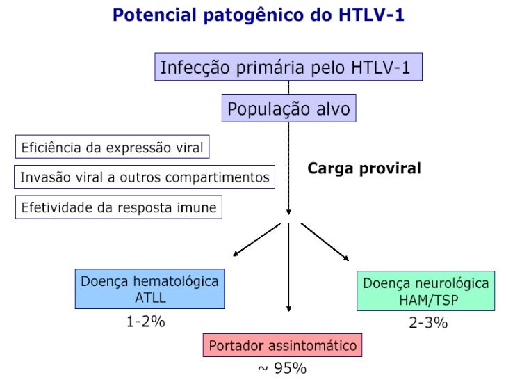 HTLV Vírus linfotrópico de células T humano HTLV Vírus linfotrópico de células T humano