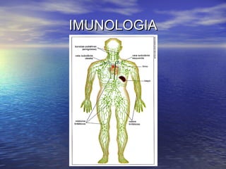 IMUNOLOGIAIMUNOLOGIA
 