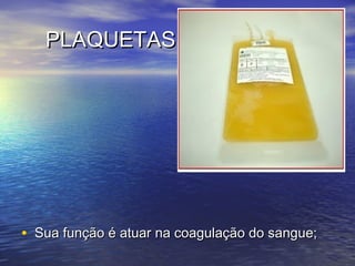 PLAQUETASPLAQUETAS
• Sua função é atuar na coagulação do sangue;Sua função é atuar na coagulação do sangue;
 