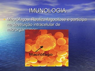 IMUNOLOGIAIMUNOLOGIA
• Macrófagos: Realiza fagocitose e participaMacrófagos: Realiza fagocitose e participa
na destruição intracelular dena destruição intracelular de
microrganismos;microrganismos;
 