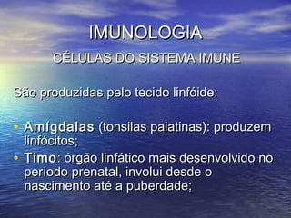 IMUNOLOGIAIMUNOLOGIA
CÉLULAS DO SISTEMA IMUNECÉLULAS DO SISTEMA IMUNE
São produzidas pelo tecido linfóide:São produzidas pelo tecido linfóide:
• AmígdalasAmígdalas (tonsilas palatinas): produzem(tonsilas palatinas): produzem
linfócitos;linfócitos;
• TimoTimo: órgão linfático mais desenvolvido no : órgão linfático mais desenvolvido no 
período prenatal, involui desde operíodo prenatal, involui desde o
nascimento até a puberdade;nascimento até a puberdade;
 