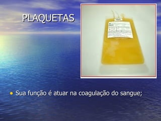 PLAQUETAS




• Sua função é atuar na coagulação do sangue;
 