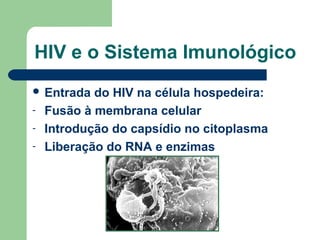 HIV e o Sistema Imunológico
 Entrada
-

do HIV na célula hospedeira:
Fusão à membrana celular
Introdução do capsídio no citoplasma
Liberação do RNA e enzimas

 