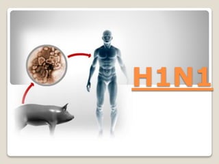 H1N1
 