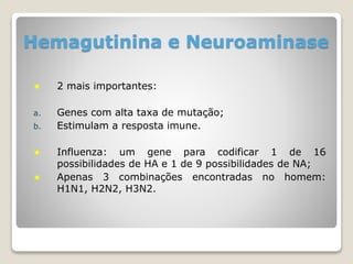 Hemagutinina e Neuroaminase
 2 mais importantes:
a. Genes com alta taxa de mutação;
b. Estimulam a resposta imune.
 Influenza: um gene para codificar 1 de 16
possibilidades de HA e 1 de 9 possibilidades de NA;
 Apenas 3 combinações encontradas no homem:
H1N1, H2N2, H3N2.
 