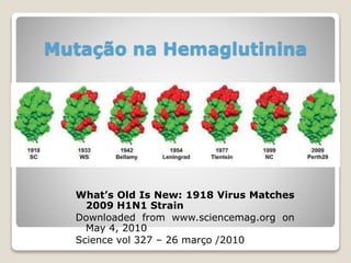 Mutação na Hemaglutinina
What’s Old Is New: 1918 Virus Matches
2009 H1N1 Strain
Downloaded from www.sciencemag.org on
May 4, 2010
Science vol 327 – 26 março /2010
 