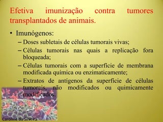 Efetiva imunização contra tumores
transplantados de animais.
• Imunógenos:
– Doses subletais de células tumorais vivas;
– Células tumorais nas quais a replicação fora
bloqueada;
– Células tumorais com a superfície de membrana
modificada química ou enzimaticamente;
– Extratos de antígenos da superfície de células
tumorais, não modificados ou quimicamente
modificados.
Caroline da Silveira
 